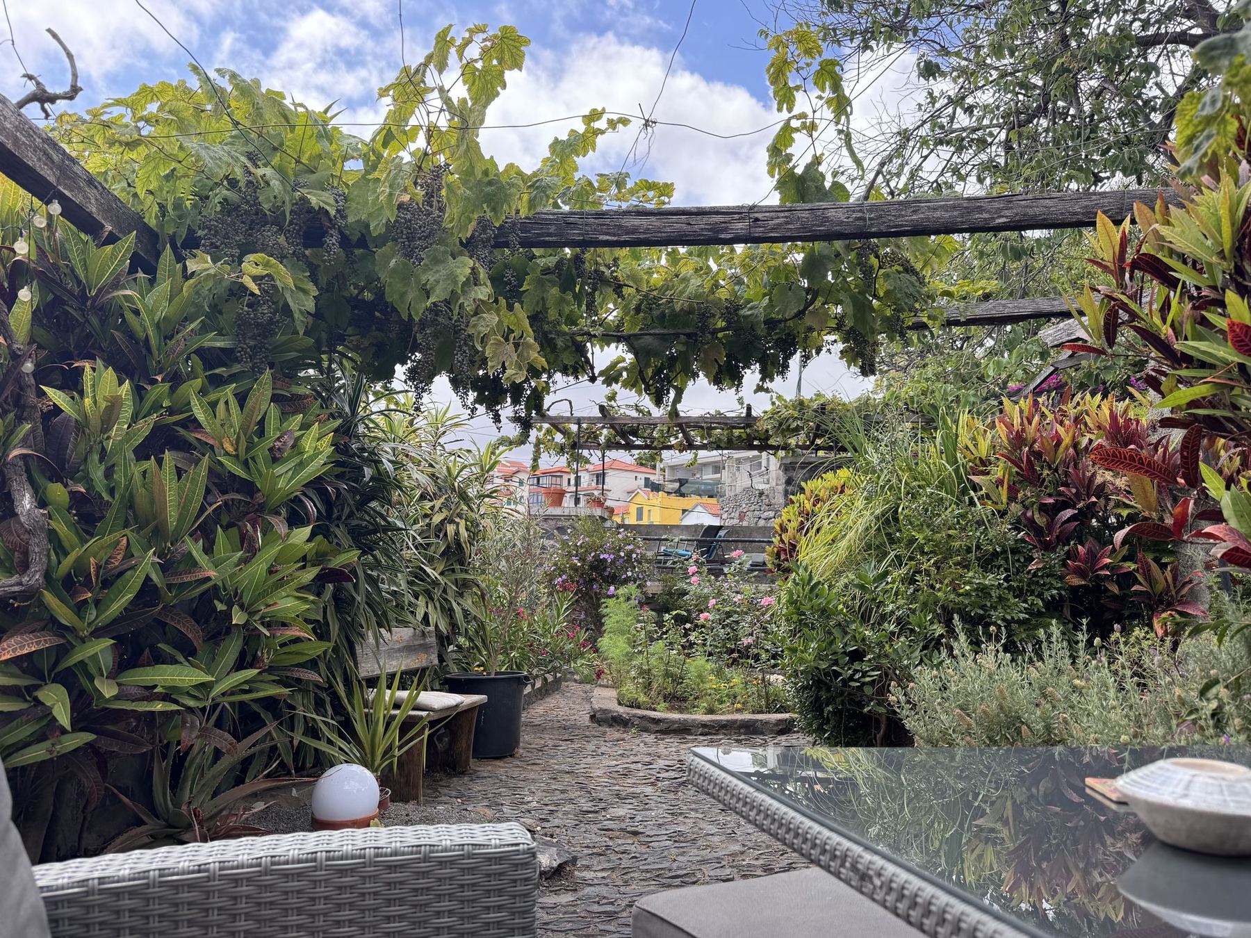 Unser mediterraner Garten mit Blick auf das Haus