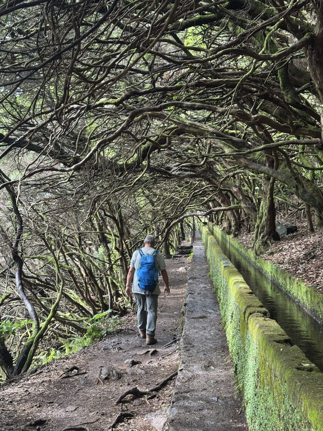 Geheimer Tunnel-Eingang entlang der Levada das 25 Fontes
